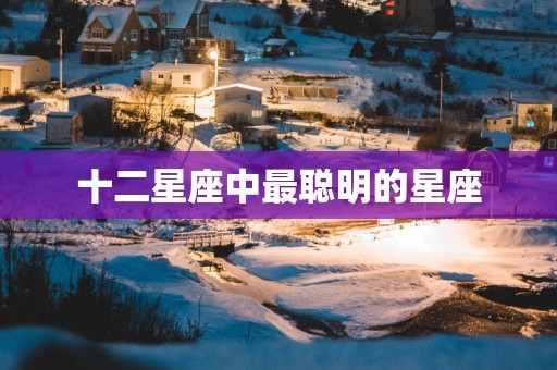 十二星座中最聪明的星座