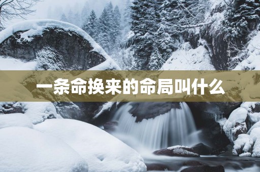一条命换来的命局叫什么