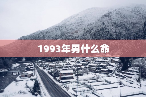 1993年男什么命