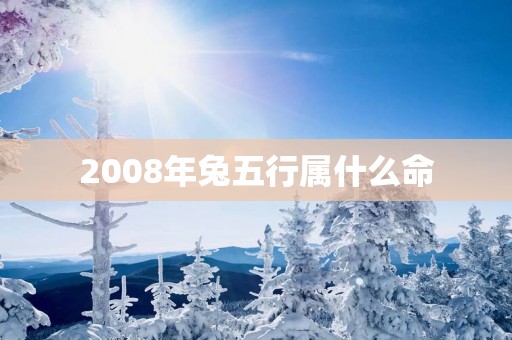 2008年兔五行属什么命