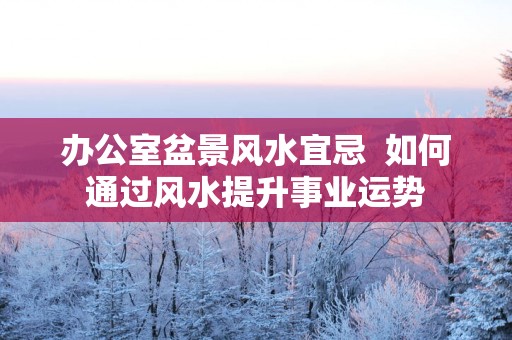 办公室盆景风水宜忌  如何通过风水提升事业运势