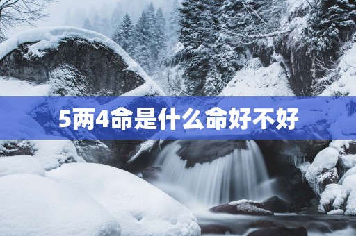 5两4命是什么命好不好