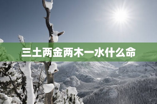 三土两金两木一水什么命