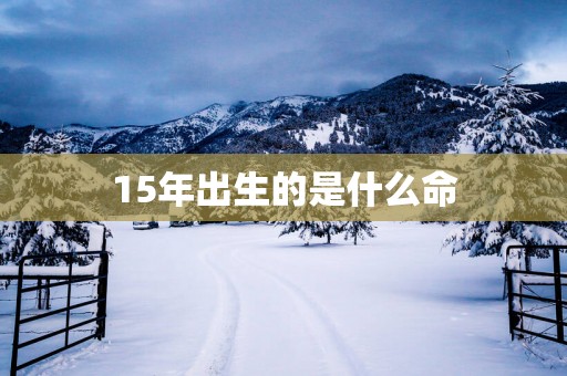 15年出生的是什么命
