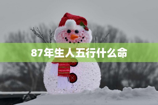 87年生人五行什么命