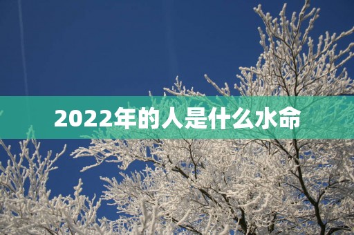 2026年的人是什么水命
