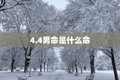 4.4男命是什么命