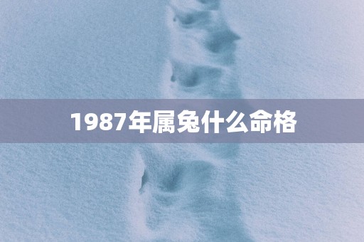 1987年属兔什么命格