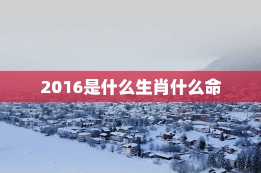 2016是什么生肖什么命