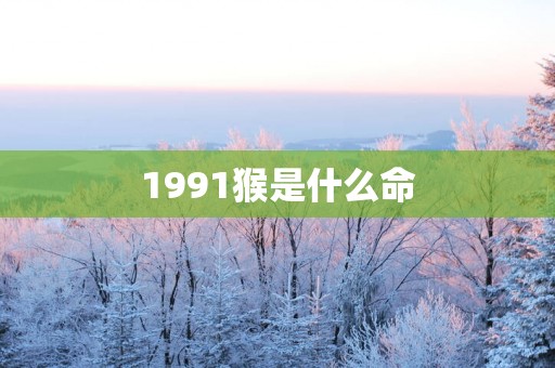 1991猴是什么命