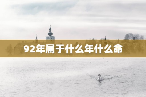 92年属于什么年什么命