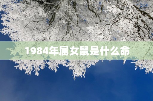 1984年属女鼠是什么命