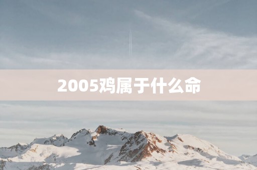2005鸡属于什么命