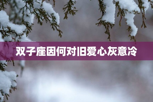 双子座因何对旧爱心灰意冷
