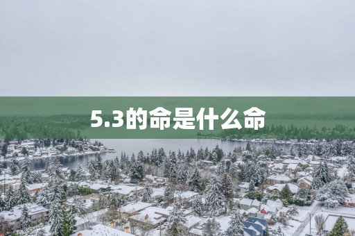 5.3的命是什么命