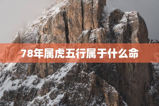 78年属虎五行属于什么命