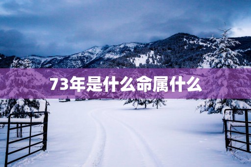 73年是什么命属什么