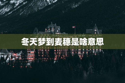 冬天梦到麦穗是啥意思
