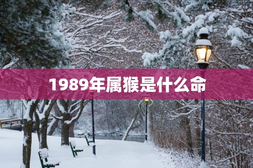 1989年属猴是什么命