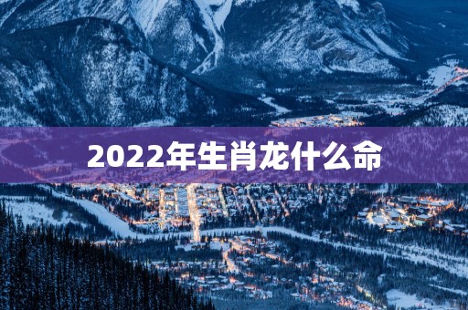 2025年生肖龙什么命