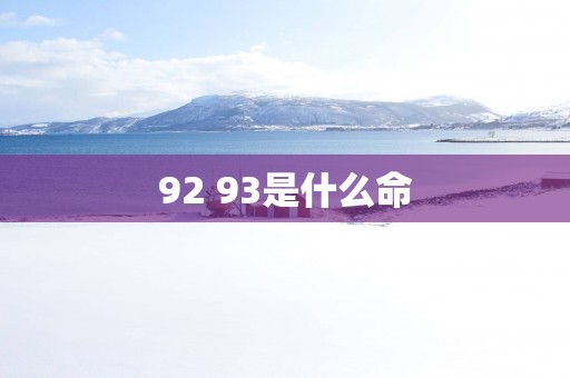 92 93是什么命