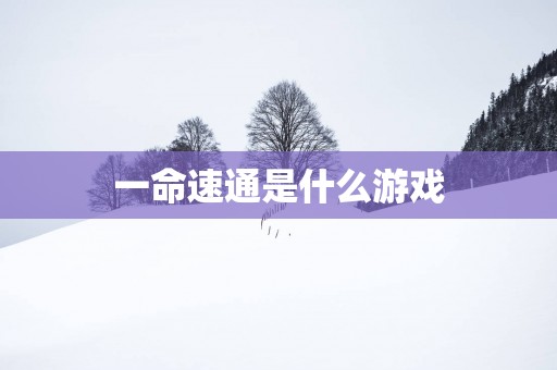 一命速通是什么游戏