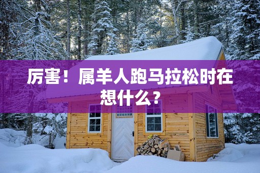 厉害！属羊人跑马拉松时在想什么？