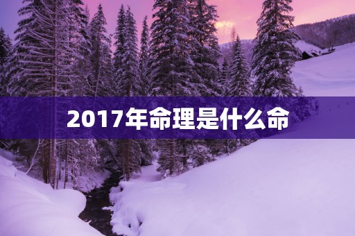 2017年命理是什么命