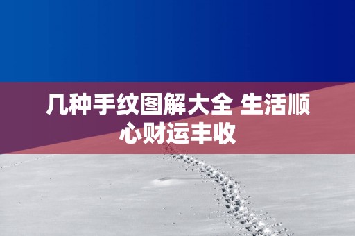 几种手纹图解大全 生活顺心财运丰收