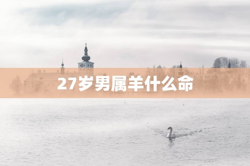 27岁男属羊什么命