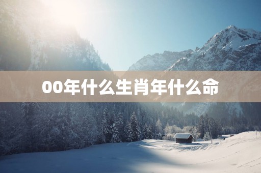 00年什么生肖年什么命