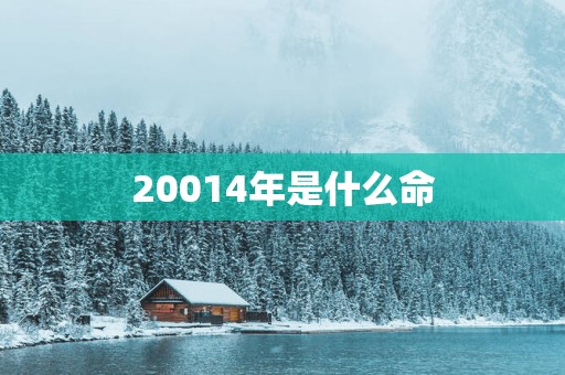 20014年是什么命