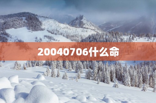20040706什么命