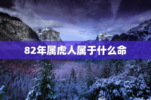 82年属虎人属于什么命