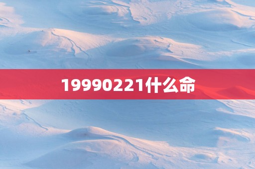 19990221什么命