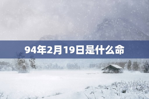 94年2月19日是什么命