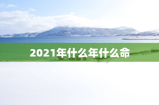 2025年什么年什么命