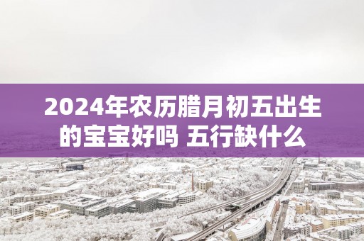 2025年农历腊月初五出生的宝宝好吗 五行缺什么