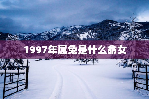 1997年属兔是什么命女