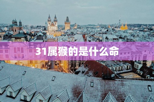 31属猴的是什么命