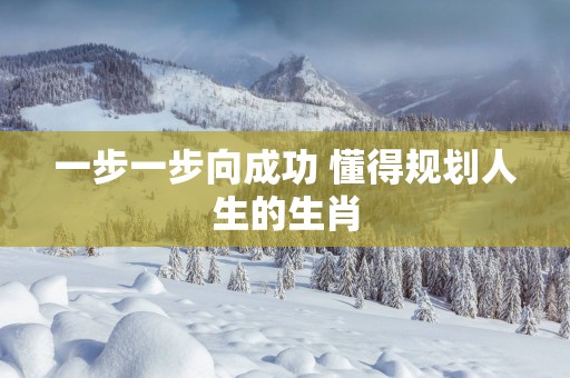 一步一步向成功 懂得规划人生的生肖