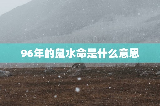 96年的鼠水命是什么意思