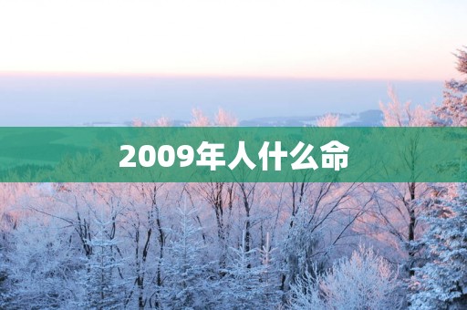 2009年人什么命