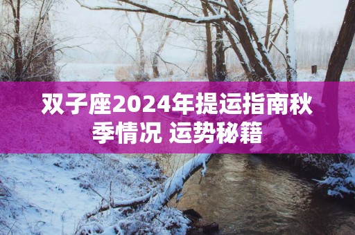 双子座2024年提运指南秋季情况 运势秘籍