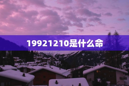 19921210是什么命