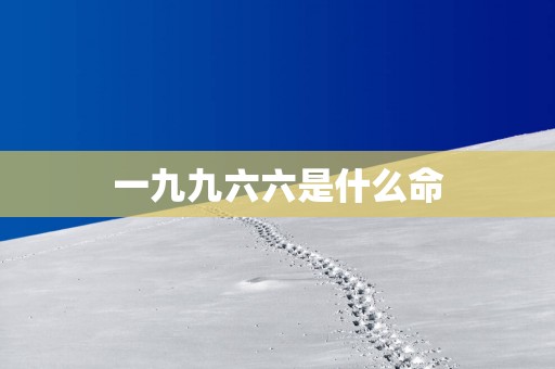 一九九六六是什么命
