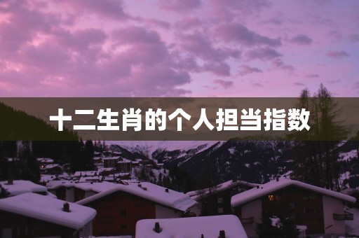 十二生肖的个人担当指数