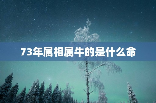 73年属相属牛的是什么命
