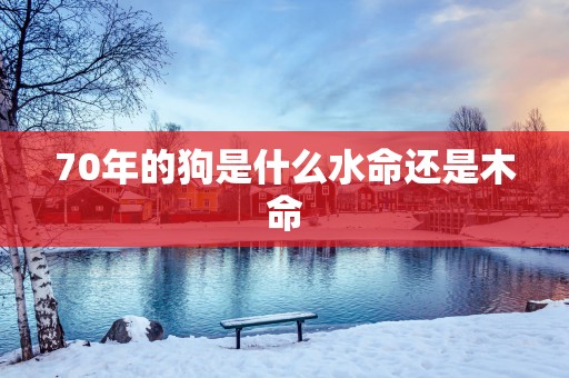 70年的狗是什么水命还是木命