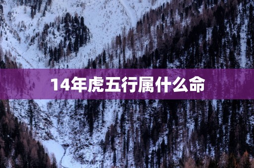 14年虎五行属什么命